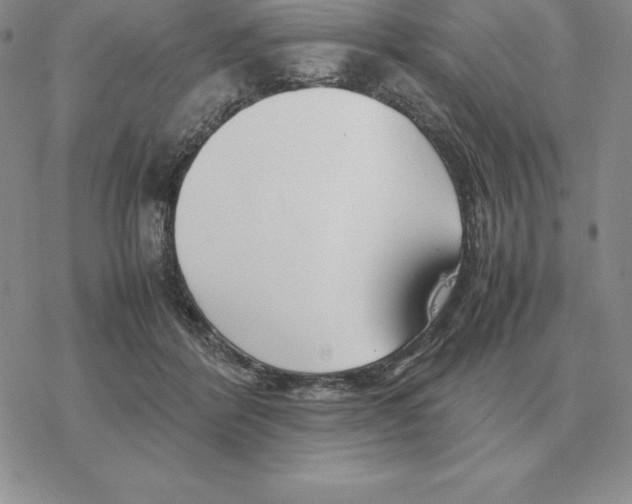 X0000077340412200611171837