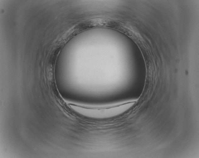 X0000077340413200611171837