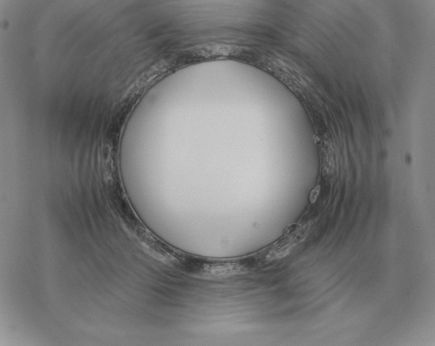 X0000077340414200611171837