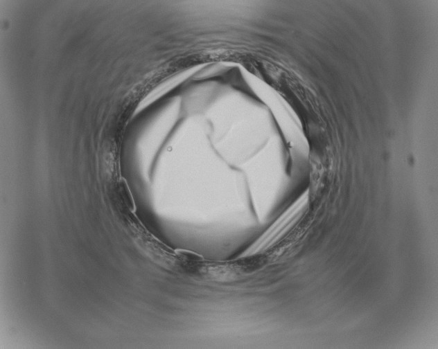 X0000077340417200611171837