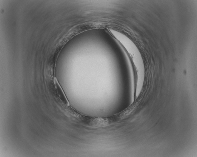 X0000077340421200611171837