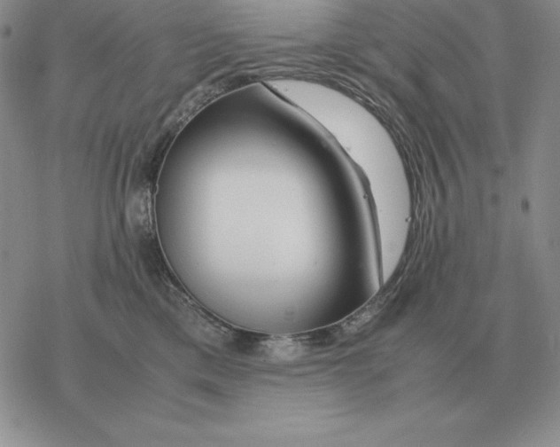 X0000077340425200611171837