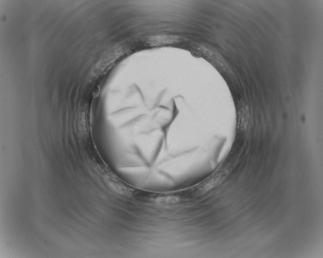 X0000077340426200611171837