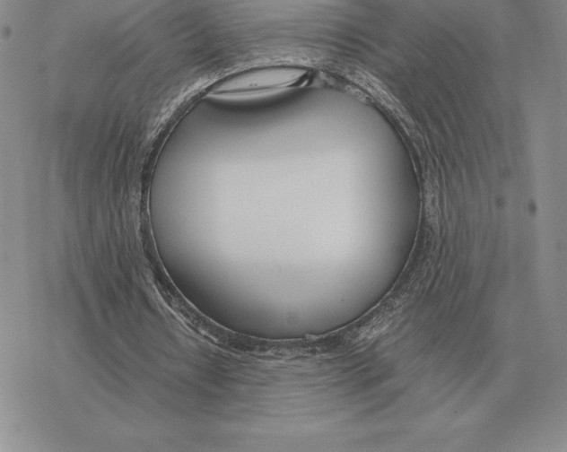 X0000077340434200611171836