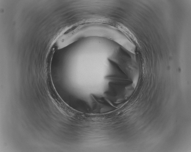 X0000077340436200611171836