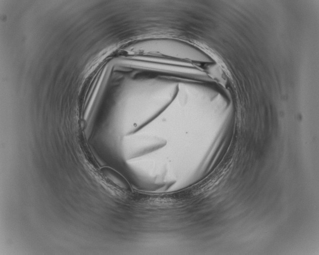 X0000077340437200611171836