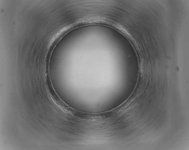 X0000077340438200611171836