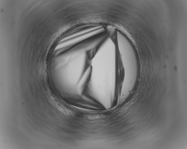 X0000077340439200611171836