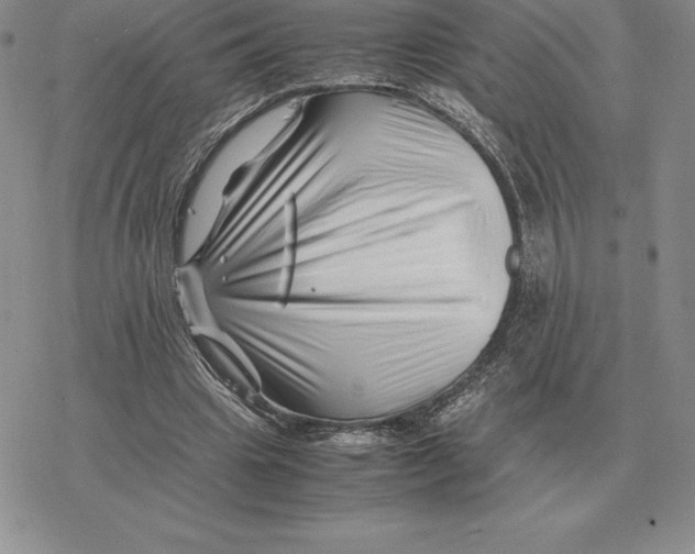X0000077340441200611171836