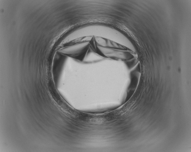 X0000077340444200611171836