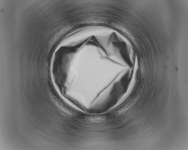 X0000077340445200611171836