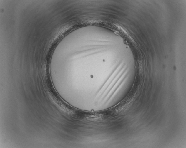 X0000077340447200611171836