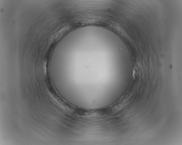 X0000077340454200611171837