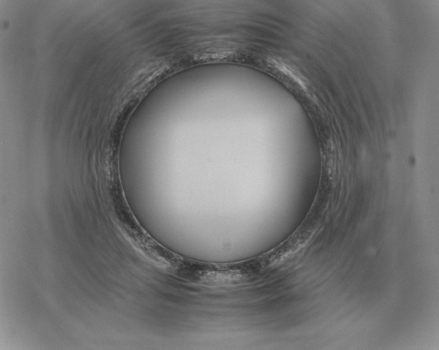 X0000077340455200611171837