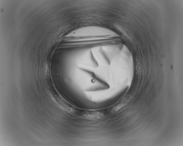 X0000077340459200611171837