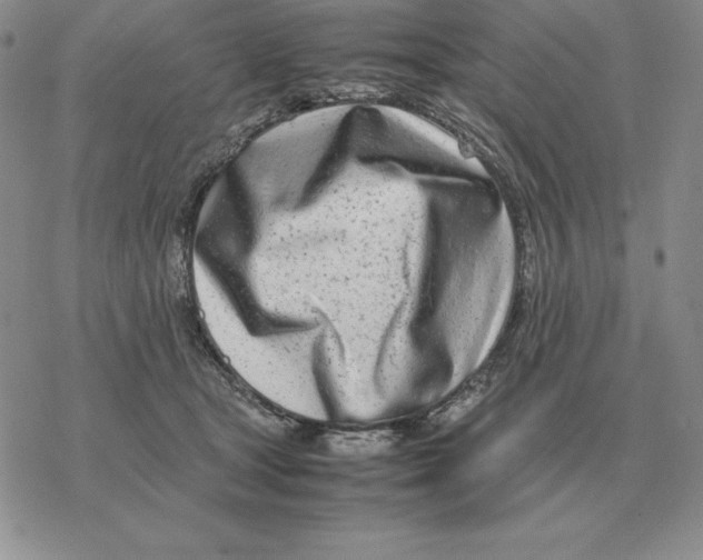 X0000077340465200611171837