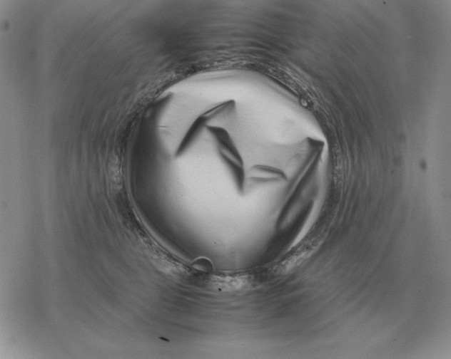 X0000077340469200611171837