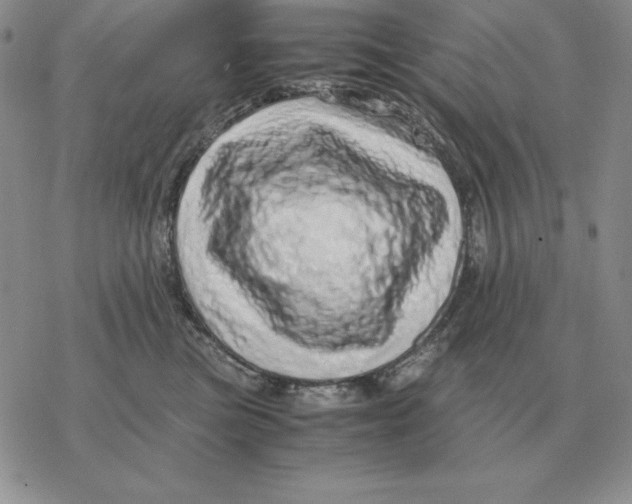 X0000077340473200611171837