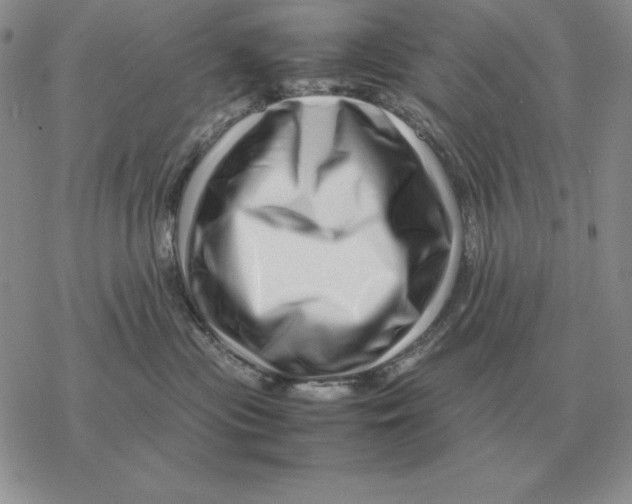 X0000077340477200611171837