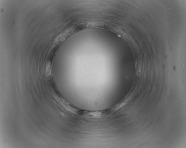 X0000077340478200611171837