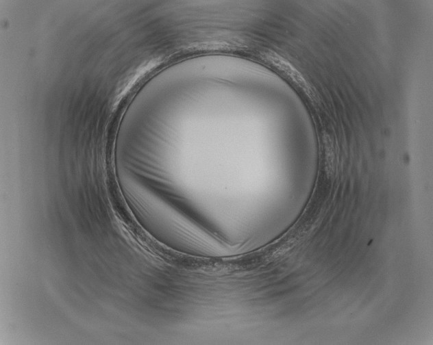 X0000077340482200611171836
