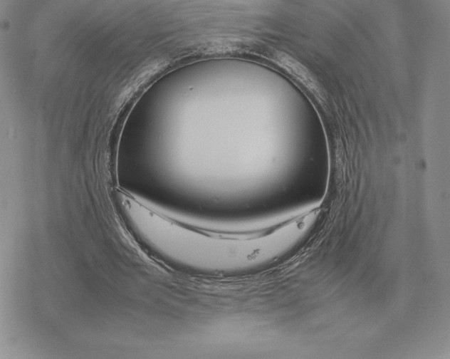 X0000077340485200611171836