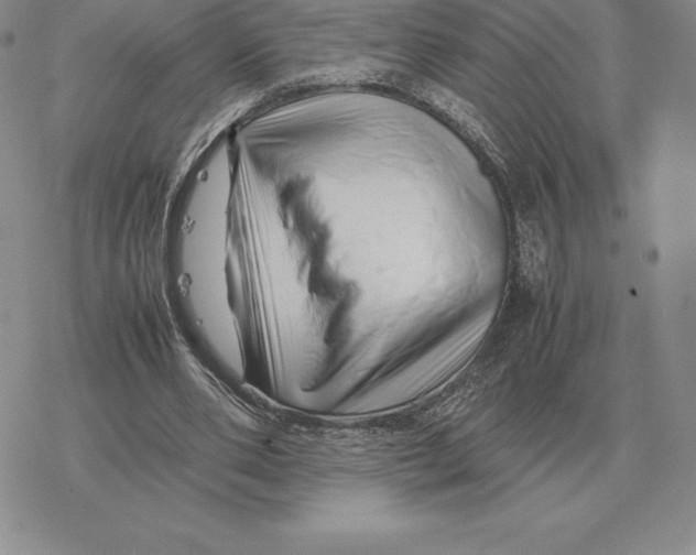 X0000077340486200611171836