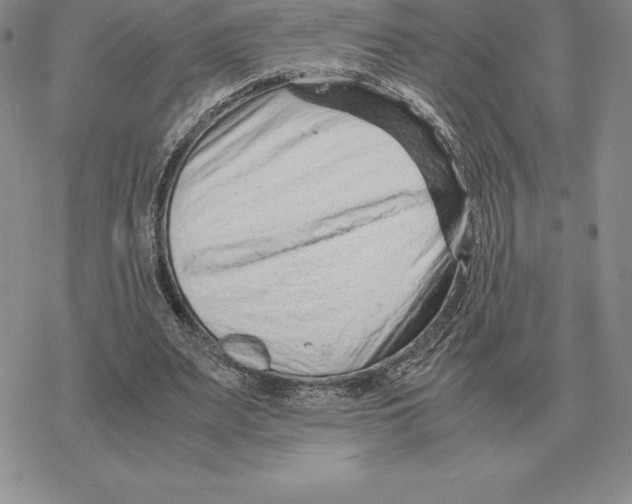 X0000077340487200611171836