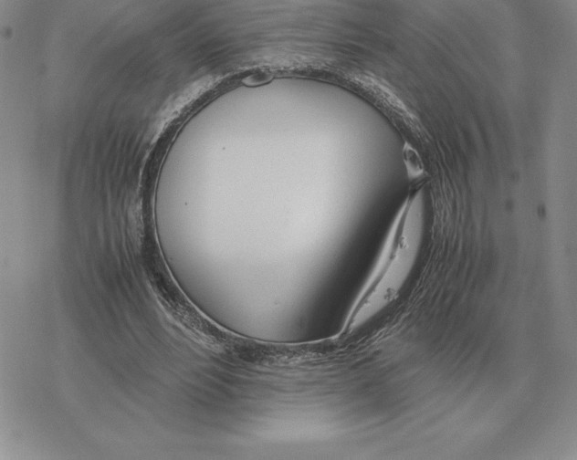 X0000077340488200611171836