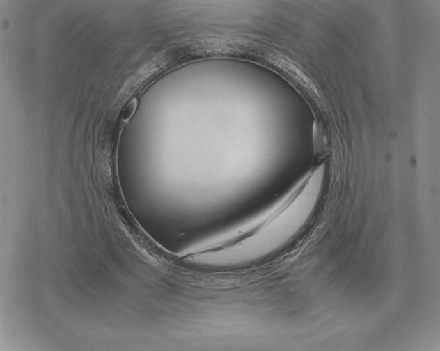 X0000077340489200611171836