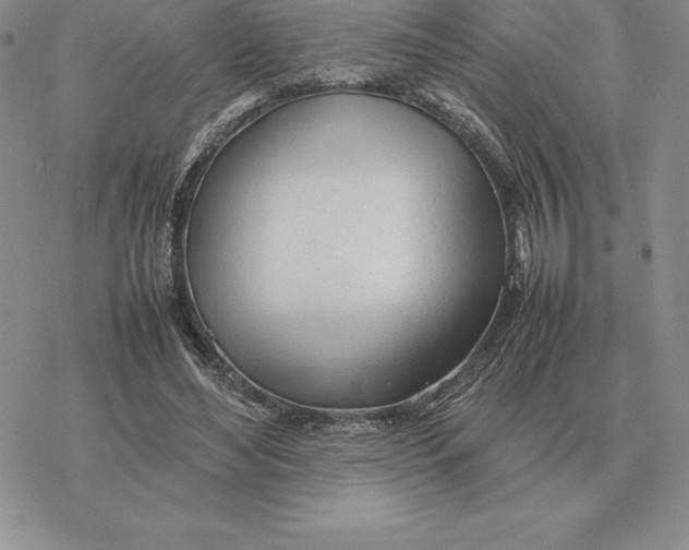 X0000077340492200611171836