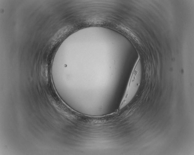 X0000077340494200611171836