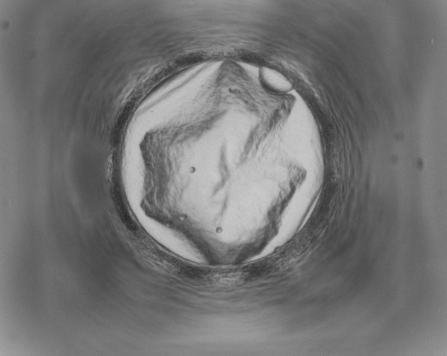 X0000077340495200611171836