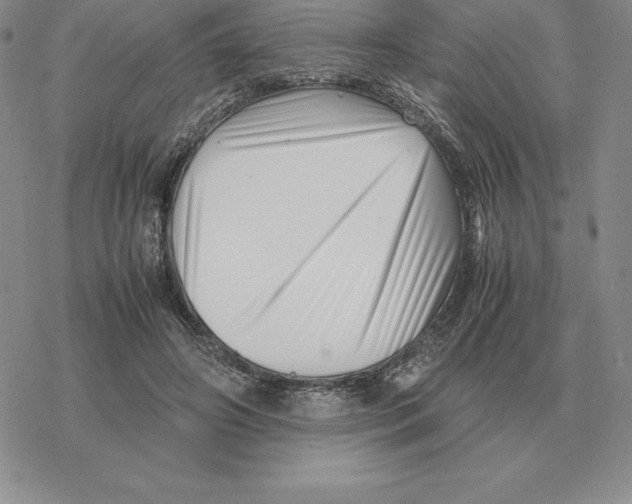 X0000077340498200611171836