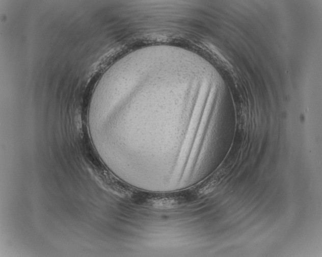 X0000077340500200611171836