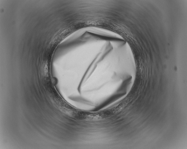 X0000077340502200611171836