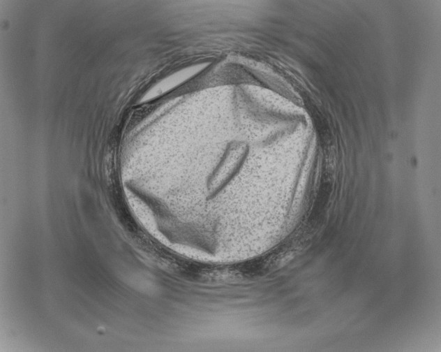 X0000077340503200611171836