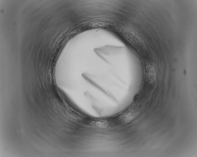 X0000077340506200611171836