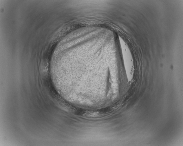 X0000077340507200611171836
