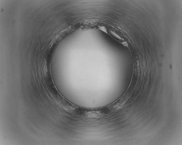 X0000077340508200611171836