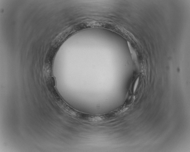 X0000077340513200611171836