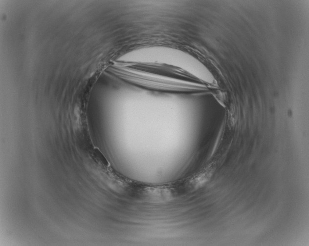 X0000077340520200611171836