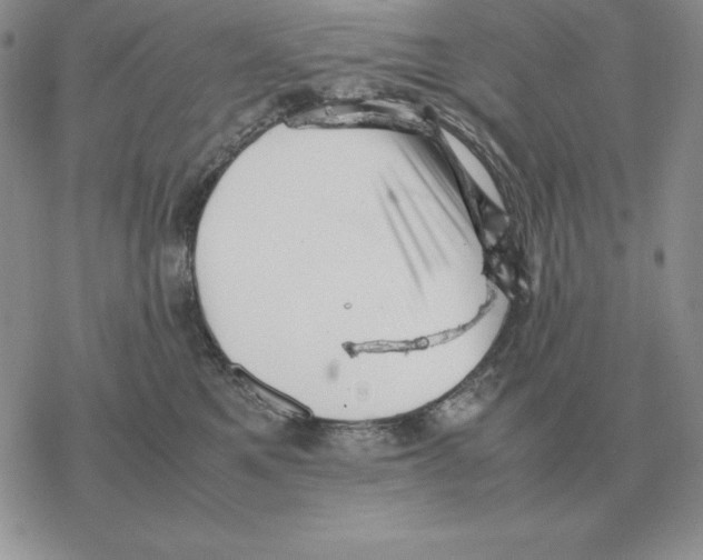 X0000077340521200611171836