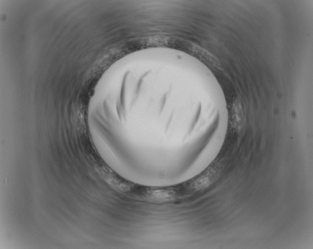X0000077340522200611171836