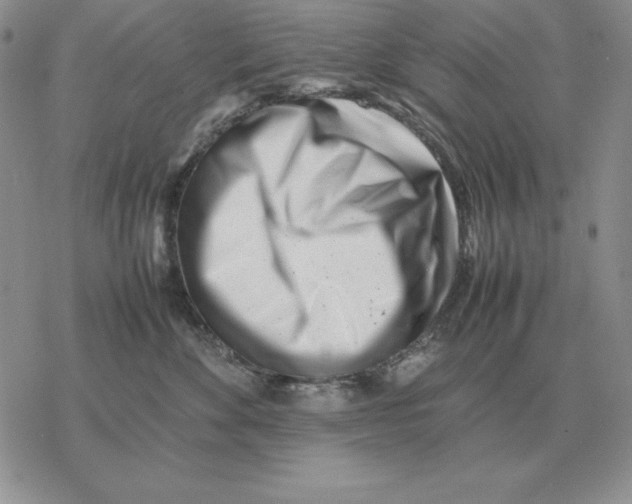 X0000077340524200611171836