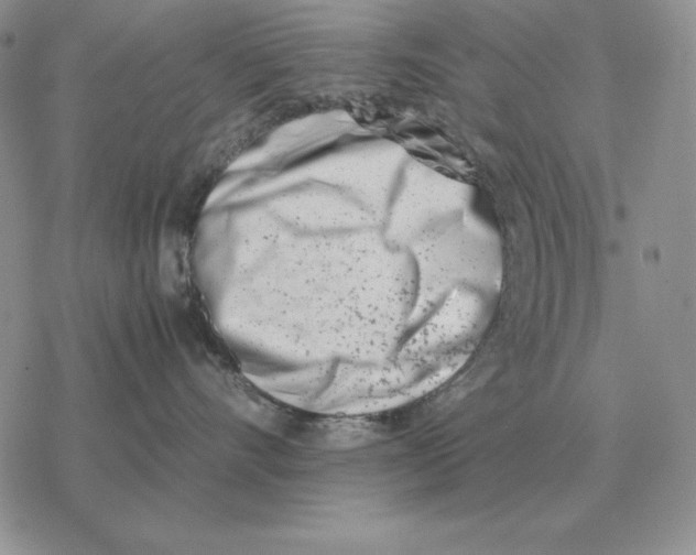 X0000077340528200611171835
