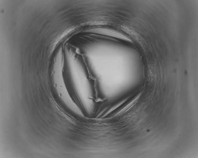 X0000077340535200611171835