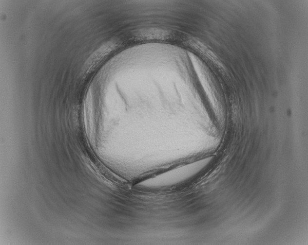X0000077340537200611171835