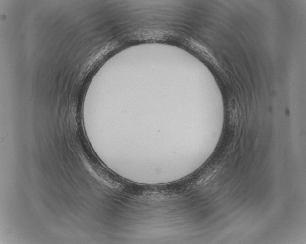 X0000077340538200611171835