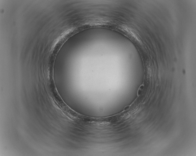 X0000077340539200611171835